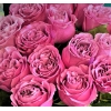 25 Пионовидных Роз