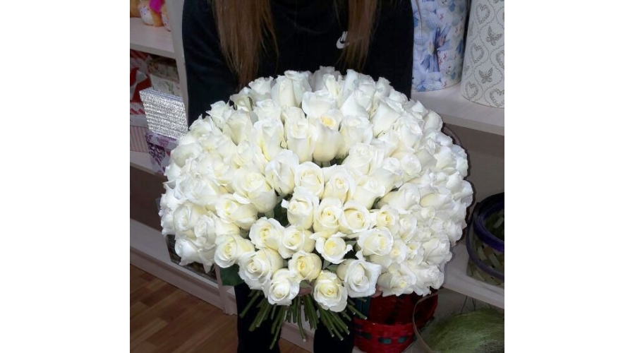 101 белая роза эквадор 50см